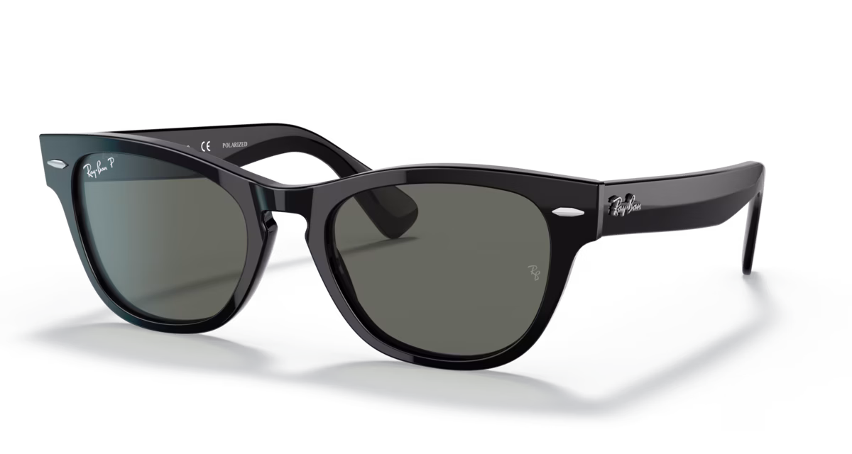 RAY-BAN LARAMIE 2201