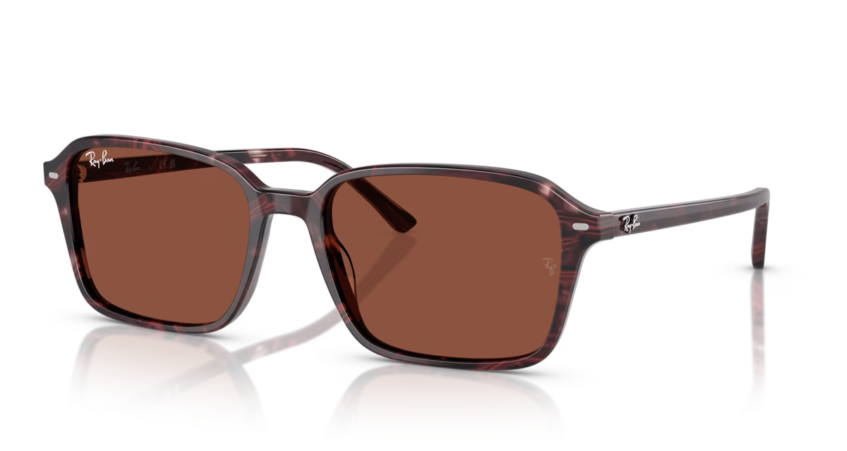 RAY-BAN RB 2231