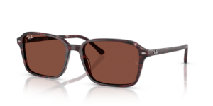 RAY-BAN RB 2231